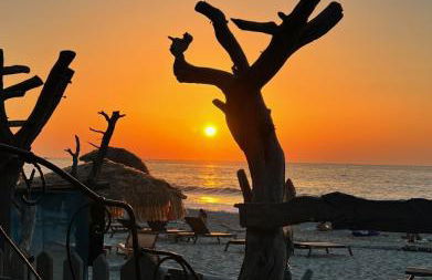 Superbe maison avec piscine - Foto 22