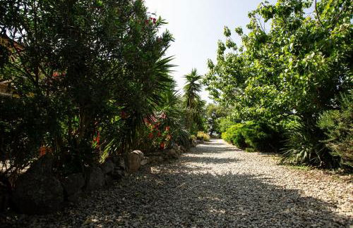 costa di sognu - Foto 36