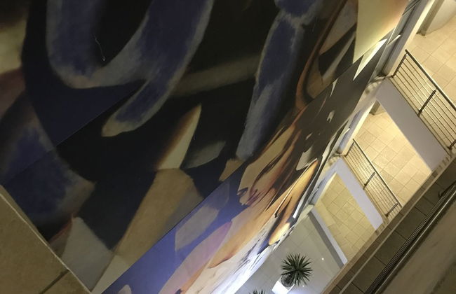 First Divine Suites - Hydro Park - Foto 18