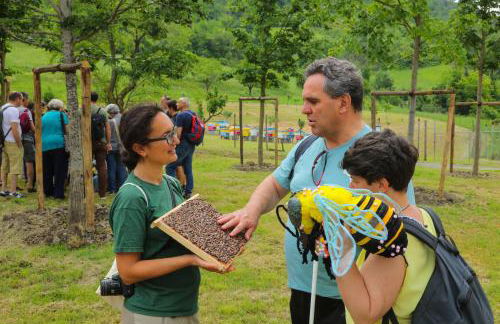 Agriturismo Parco della Chiusa - Foto 47