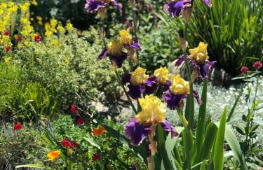 Downtown Solvang l Most Desired Home l 2BR - Foto 49