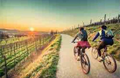 Maison cosy avec parking gratuit - Foto 9