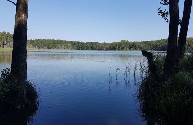 Glammseehaus Ulla Comfortable Holiday Residence - Foto 23