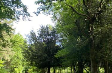 Little Woodside a beautiful New Forest self contained private luxury annexe - Foto 63