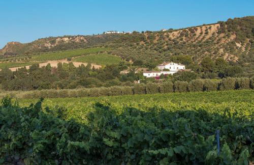 Agriturismo Dattilo - Foto 81