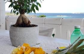 Case Vacanze La Conia - Foto 27