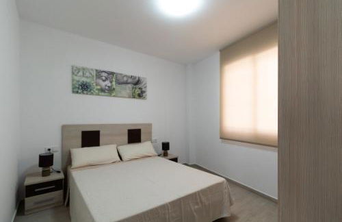 Bioparc Metro Valencia - Foto 17