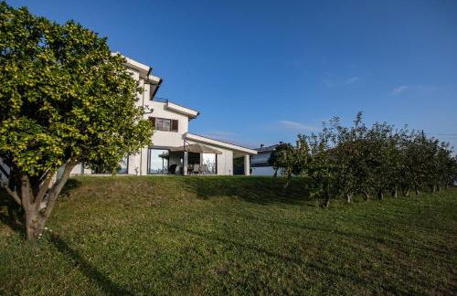 Viana do Castelo Home - Foto 13