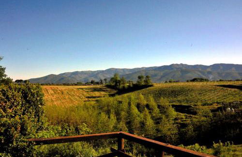 Agriturismo il Pino - Bioagricoltura - Photo 60