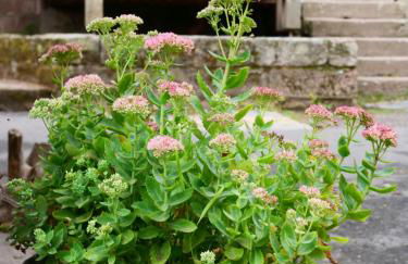 Grünes Tal Wohnung Karl - Photo 13