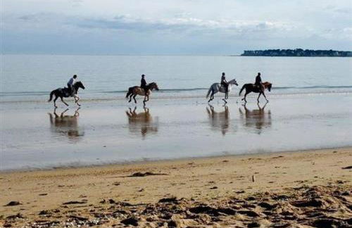 Esprit Cottage "4 étoiles" sables d'Or les pins - Foto 14