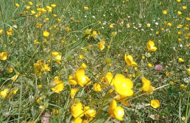 Clef Secrète - Foto 48