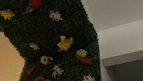 Casa Pina B&B - Foto 3