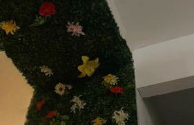 Casa Pina B&B - Foto 3