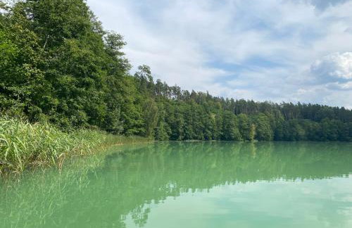 Stodoła Drwęck - Foto 25