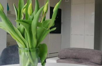 Apartament 35 - Foto 1