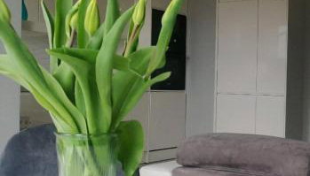 Apartament 35 - Foto 1