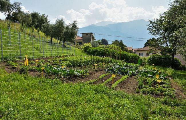 Agriturismo Il Colle - Foto 61