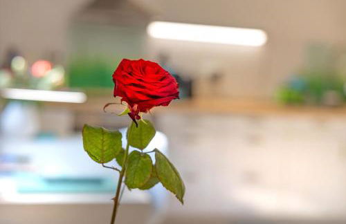 Ruhig Top mod Studio Appartement,privater Eingang - Foto 28