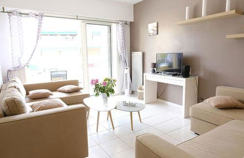 Superbe T2 4 étoiles climatisé Favière refait à neuf - Foto 6