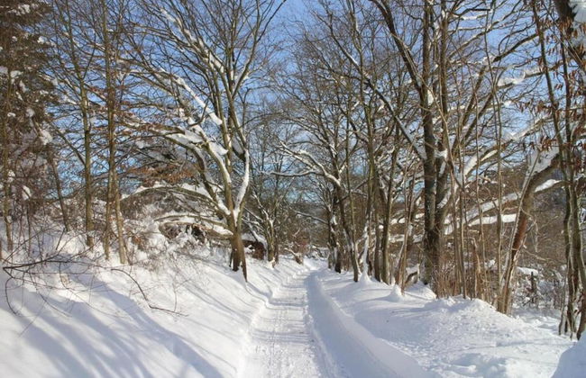 Apartment in Thale by Fishing River - Foto 39