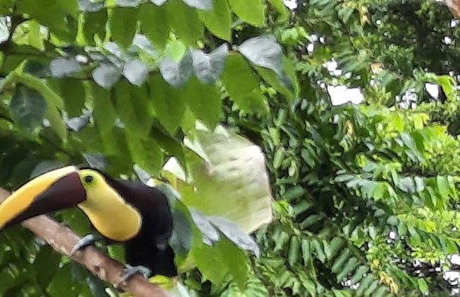 Hotel Finca L’Étoile Celeste - Foto 53