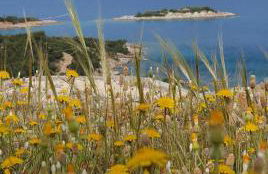 Peace&love-sea studio - Photo 20