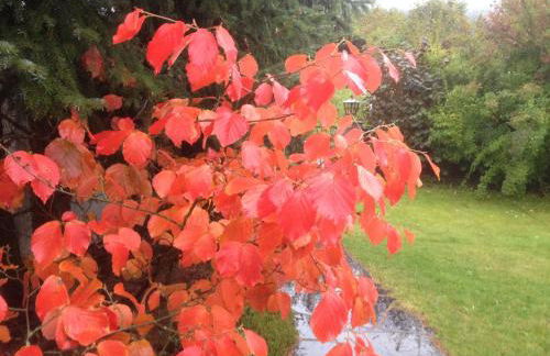 Ettelsberg Appart - Foto 24