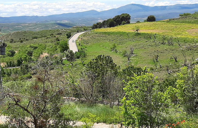 Casa Rural Garnacha de Borja has a Barbacue and Terrace - Foto 48