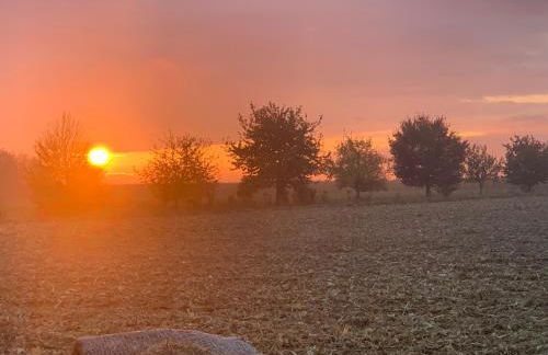 Kleines Ferienappartement in Erfurt-Schmira - Foto 18