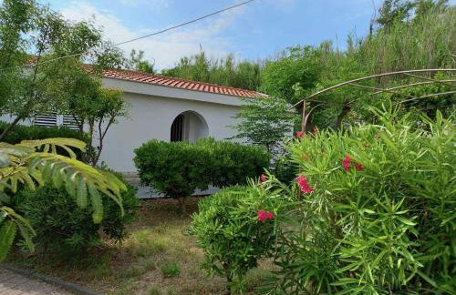 Apartmani Vanja - Photo 19