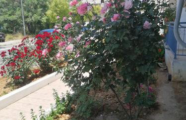 Elva Creta - Foto 43