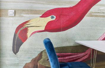 The Flamingo - Foto 1