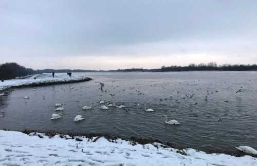 Loft Unterkunft in Hügelsheim - Foto 12