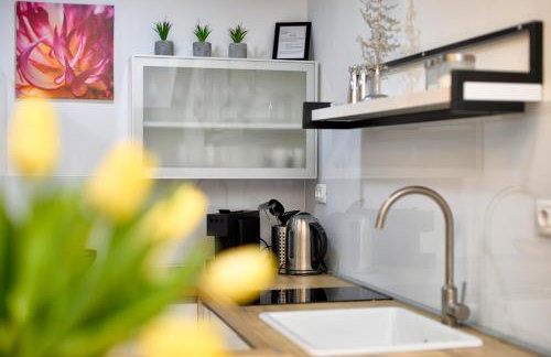 Florek & Florica Apartment - Photo 22