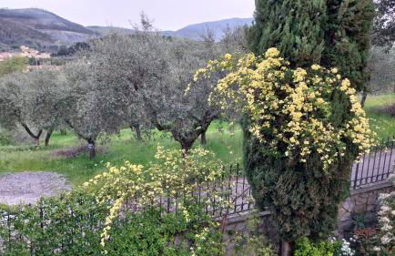 Villa Salviati - Foto 8