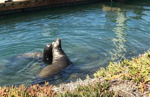 Romantic Coastal Private Room - Foto 72