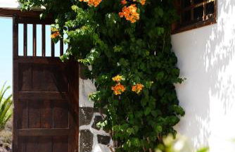 La Paredita Casa Abona - Foto 19