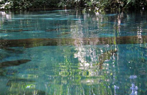 CASA PE DE PEQUI - Foto 20