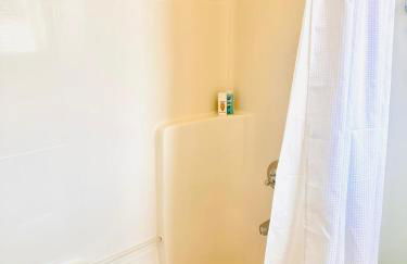 Lion of the Beach - Photo 43