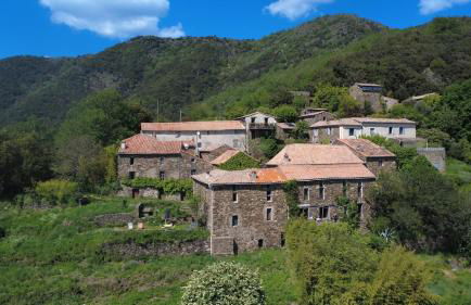 Le Châtaignier - Foto 1