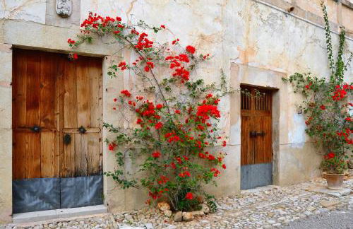 Agroturismo Son Sant Andreu - Foto 80