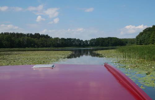 Lütt Hütt - Foto 7