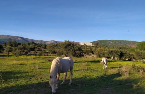 La Encina del Abuelo - Foto 23