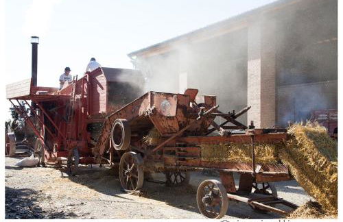 All'Antica Ruggine - Photo 29