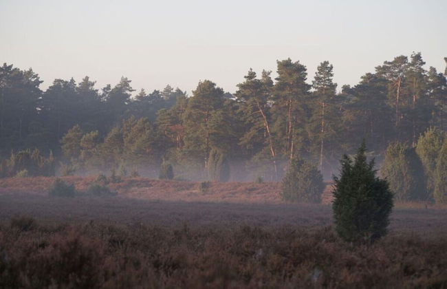 Apartment at the Eichenpark - Foto 18