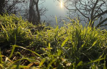 Ferienwohnung am Wald - Photo 17