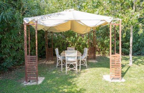 Seashell by halu! - Foto 66