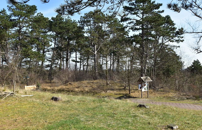 Holiday Home Bergen Near Beach & Dunes - Photo 27