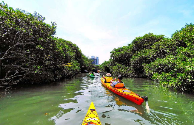 Kayak Tour of Cartagena - Photo 11